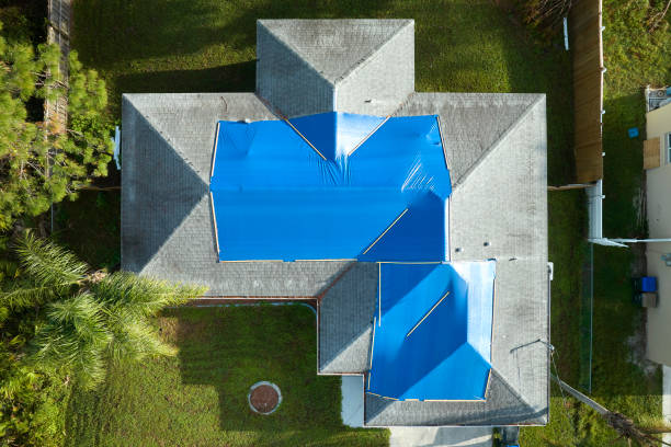 Best Roof Insulation Installation  in Vega, TX