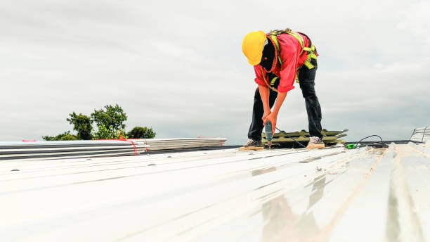 Best Roof Maintenance and Cleaning  in Vega, TX