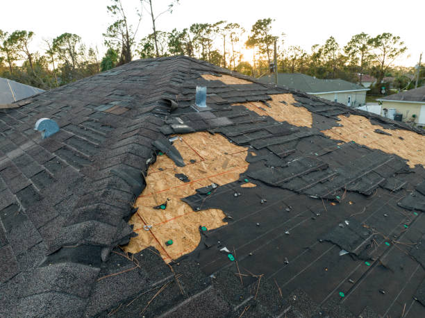 Best Green or Eco-Friendly Roofing Solutions  in Vega, TX