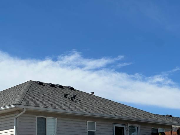 Best Skylight Installation and Repair  in Vega, TX